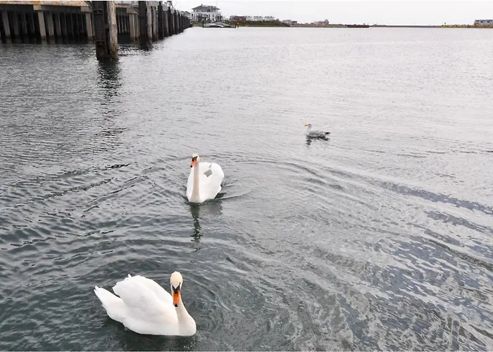 Semesterbostad Hausboot